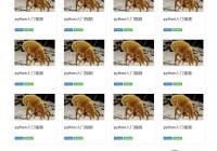 一个简单的bootstrap模板
