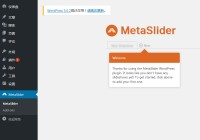 Page Builder+Metaslider构建自己的网站